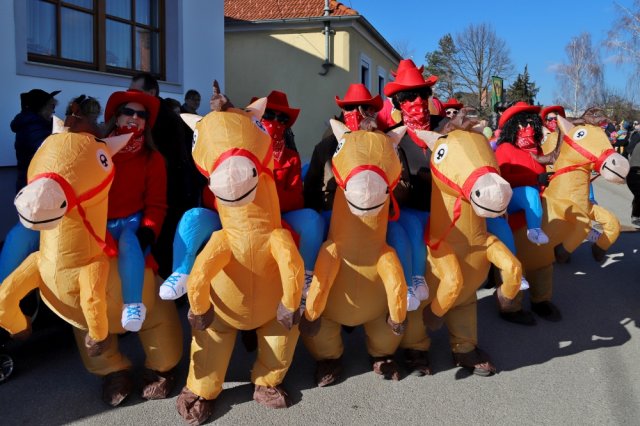 Narrentreiben 2025 (Fotos Rochus Hetzendorfer)